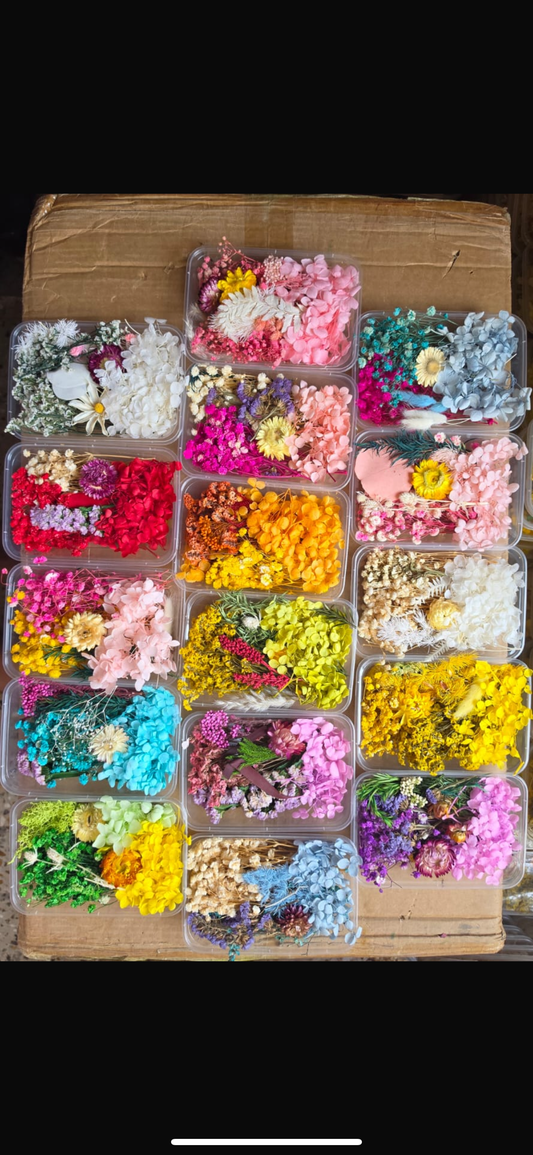 Dry flowers for candle and resin