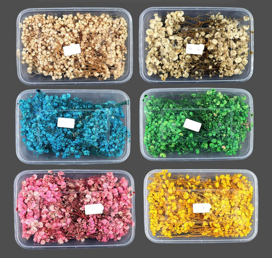 Dry flowers for candle and resin